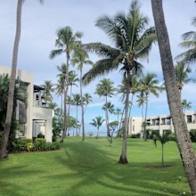 Sheraton Fiji Golf & Beach Resort