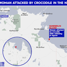 Crocodile attack Vanderlin Island Northern Territory 