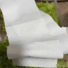 Lettuce paper towel hack