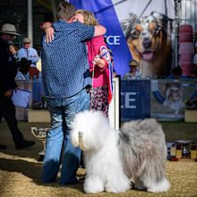 Meet Bagatelle Moonlight Garden (Jasmine), who comes to Australia from Bagatelle OES in Canada and who just won the annual title of Best In Show. 