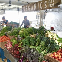 Kurrawong Organics