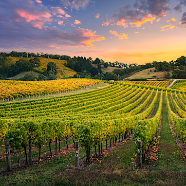 Barossa Valley