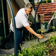 Massimo Mele in his urban vegetable garden at home in Hobart.