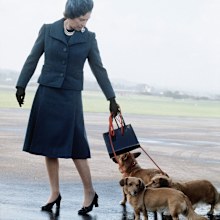 Queen Elizabeth with her corgis at an airport