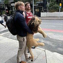 Henry Pollock takes 'BIL' the lion for a walk in Brisbane.
