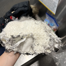 Plane passenger shows destroyed items after bag lost by airline