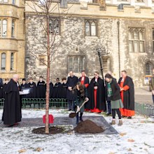 Kate Middleton plants tree in Queen Elizabeth's honour