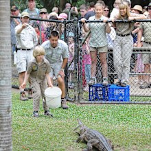 SUNSHINE COAST, AUSTRALIA - OCTOBER 2:  In this handout photo provided by Australia Zoo, Robert Irwin feeds a freshwater crocodiles with Australia Zoo's Head of Reptiles, Josh Ruffell at Australia Zoo on October 2, 2012 on the Sunshine Coast, Australia. Robert Irwin, 8, feed freshwater crocodiles for the first time publicly today. (Photo by Ben Beaden/Australia Zoo via Getty Images)