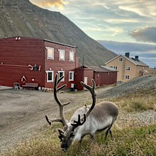 hurtigruten cruise review