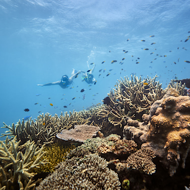Get to the Great Barrier Reef