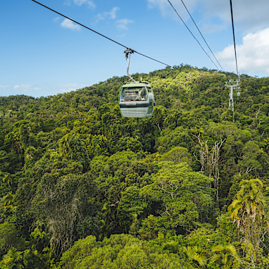  Take to the skies for a bird's eye view of the tropics