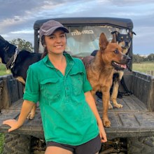 Winnie the cattle dog