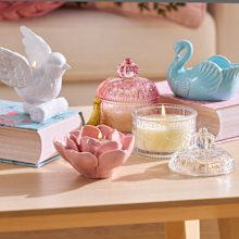 The Reject Shop unveils the Regency range