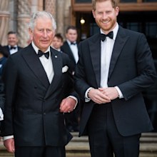prince harry and king charles peace talks