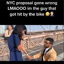 Proposal on famous bridge gets literally 'crashed' by public