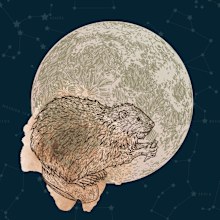 Beaver moon