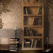 Dark academia style design interiors