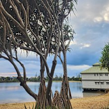 novotel sunshine coast resort