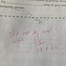 high school student text disability autism