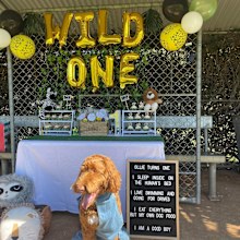 Pet party