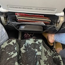 plane passenger reddit post: My Syd to Mel flight just now. She pushed my arm off the armrest and plopped her feet in my space. The middle seat already sucks enough.