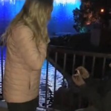 Woman 'ruins' proposal by assuming boyfriend is joking