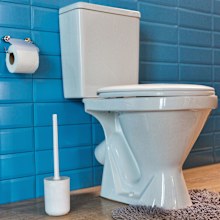Toilet with toilet brush in container beside it