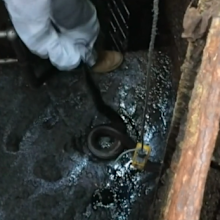 The massive python slithered into the sewer during heavy rain.