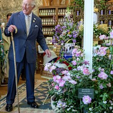 King Charles at the Highgrove stand at the Chelsea Flower Show, inspecting the new King's Rose, on Monday May 19, 2025.