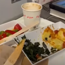 snake in flight meal