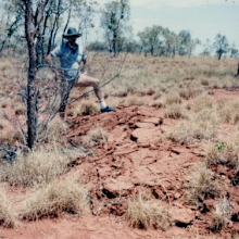 The Tennant Creek quakes caused the surface of the outback to rupture.