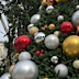 Kempsey’s Christmas tree was burnt down last year.