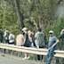 Footage shared to Facebook shows the bus crashed through traffic barriers on the highway.