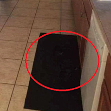 Black dog on black rug in kitchen
