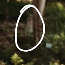wedding photos eerie detail months after daughter's death