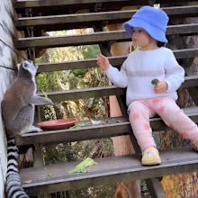 Grace Warrior Irwin Powell sits with a lemur at Australia Zoo