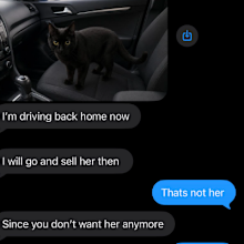 When Sarah's cat went missing, and she received a message from somebody claiming to have seen her, But the Sydney woman was shocked to discover the person was trying to scam her.They had created photos of her cat, using AI, and were demanding money.