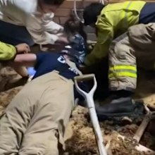 Rescuers sang along to the wiggles to help ease the childs nerves whilst being resuced from a drain she spent an hour stuck in.