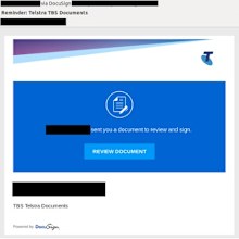 The scam has both Telstra and DocuSign branding 