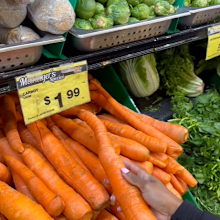 chef will coleman grocery shopping to save