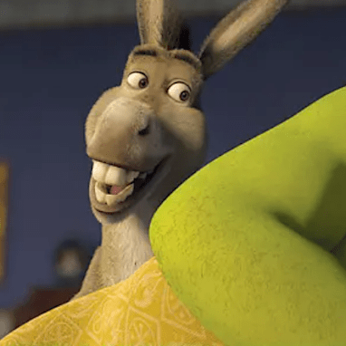 Donkey