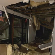 Gold Coast home smashed by falling tree
