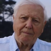 David Attenborough makes his Instagram debut.