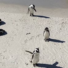 south africa