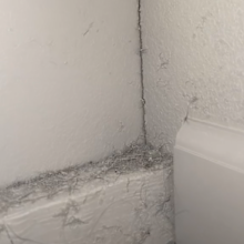 Landlord paints over hair
