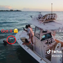 marriage proposal dropped ring video