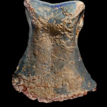 News Australia: First dinosaur ‘herd’ uncovered after 60 bones ...