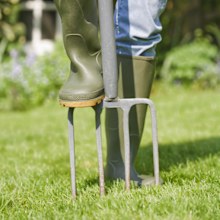Woman gardener aerates garden lawn with a fork