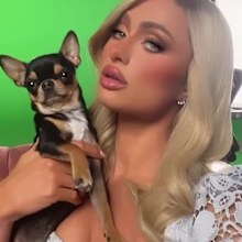 Paris Hilton promises 'big reward' for the safe return of her beloved pup Diamond Baby.