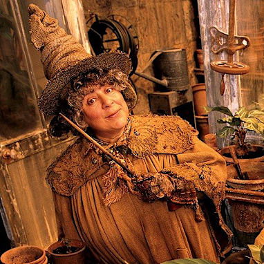 Professor Pomona Sprout: Movies